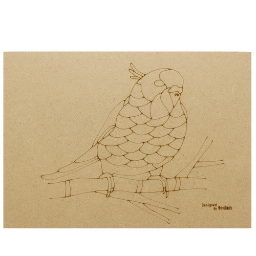 T_ DIY 방과후만들기 하비나무판-앵무새
