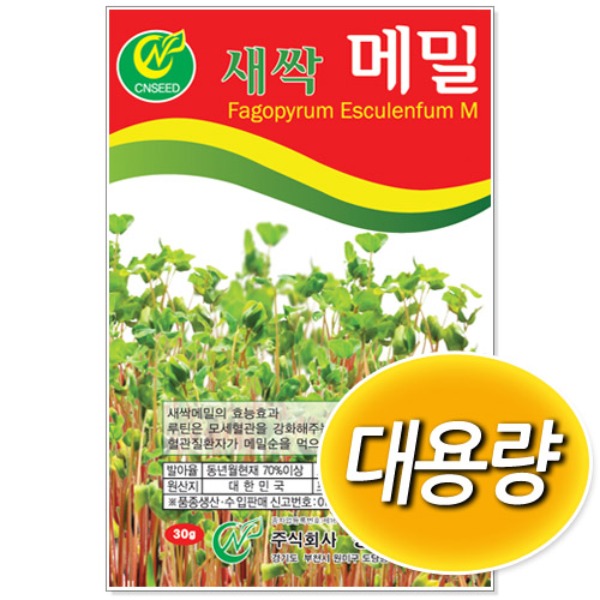 대용량 새싹 메밀 씨앗 (500g/1kg)
