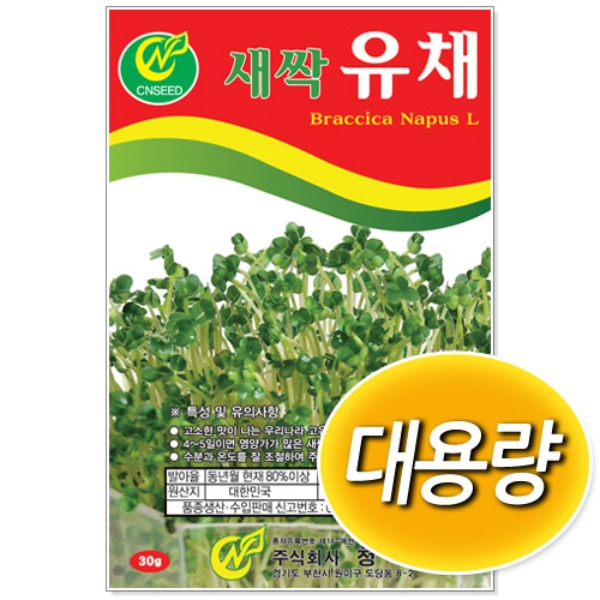 대용량 새싹 유채 씨앗 (500g/1kg)