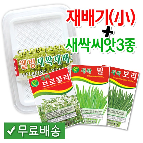 [학습부자재] 새싹재배기(소) + 새싹씨앗3종 set